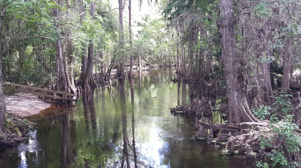 Gainesville Real Estate Rentals Near Uf Property Management Association Management